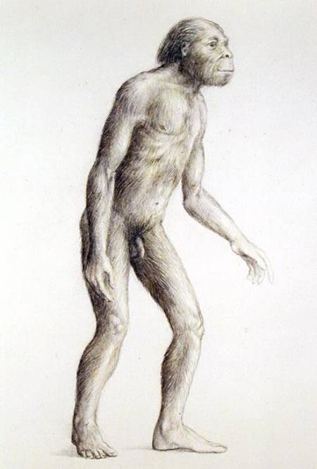 Australopithecus Africanus van Anoniem