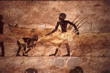 Procession with cattle and gazelles, detail from a tomb wall painting,Egyptian van Anoniem