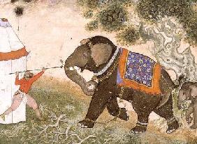52.43 An enraged elephant, Mughal
