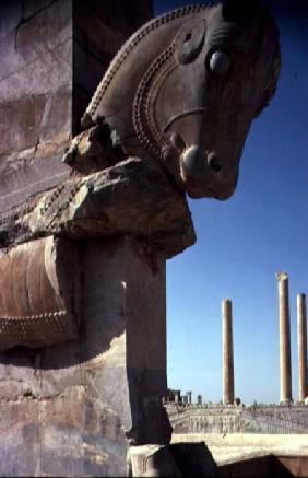 Bull's Headwith a view of the Hall of a Hundred Columns both of the Apadana (audience hall) beyond A