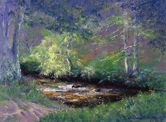 Forest Stream van Anthony  Rule