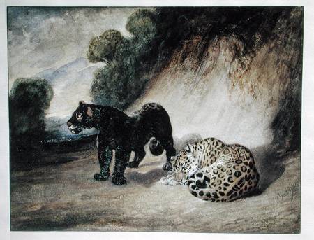 Two Jaguars from Peru van Antoine Louis Barye