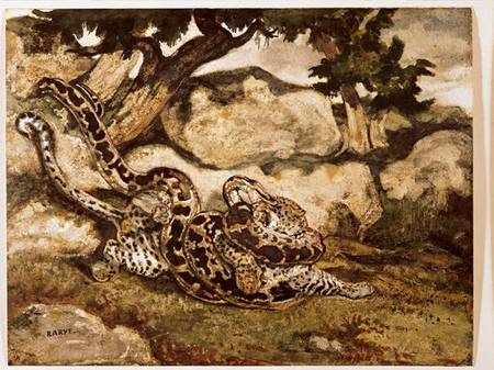 A Python Killing a Tiger (w/c & gouache on paper) van Antoine Louis Barye