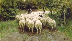 Bewegende kudde schapen in het bos