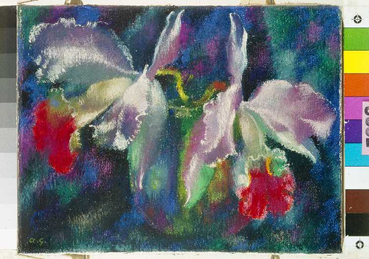 Orchidee van Antonio Augusto Giacometti
