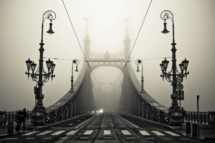 The Bridge van Armin Marten