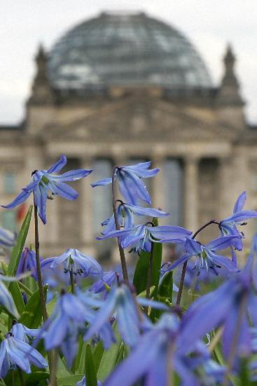 Blumenwiese vor Reichstag van Arno Burgi