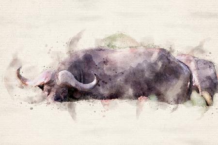 Abstract African Buffalo Watercolor Art
