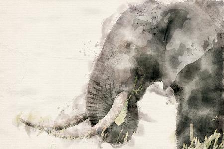 Abstract African Elephant Watercolor Art