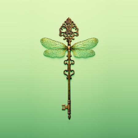 Key Dragonfly