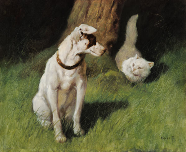 White Persian Cat and Jack Russell van Arthur Heyer