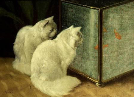 White Cats Watching Goldfish van Arthur Heyer