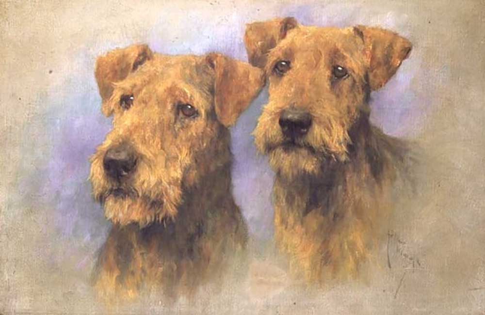 Portrait of Two Lakeland Terriers van Arthur Wardle