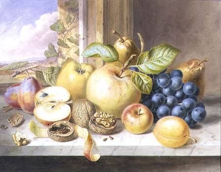A Still Life of Apples, Grapes, Pears, Plums and Walnuts on a Window Ledge van Augusta Innes Withers