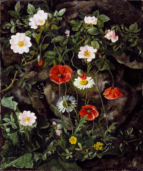 Wildrosen, Mohnblumen und Gänseblümchen an einer Steinbank. van Augusta Laessoe