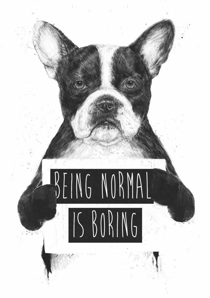Being Normal Is Boring van Balazs Solti