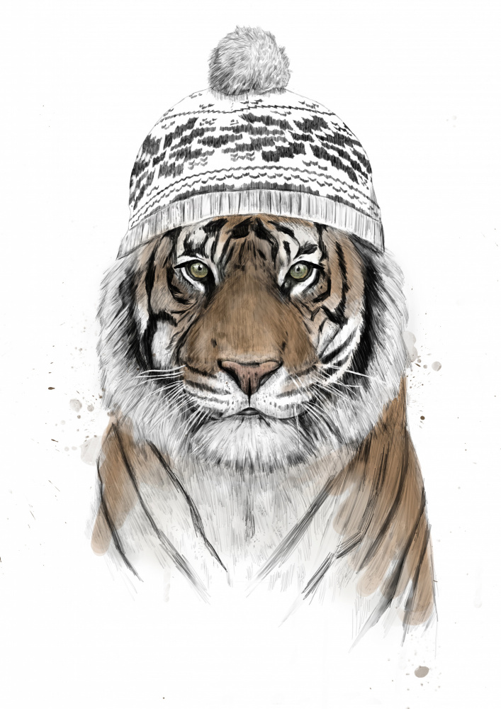 Siberian tiger van Balazs Solti