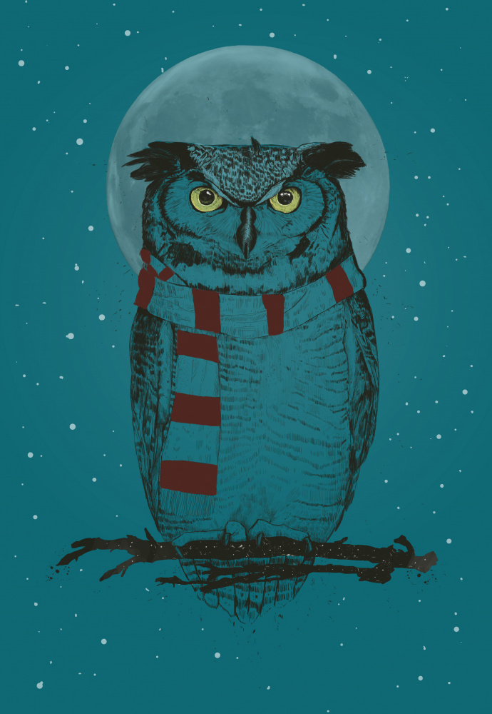 Winter owl van Balazs Solti