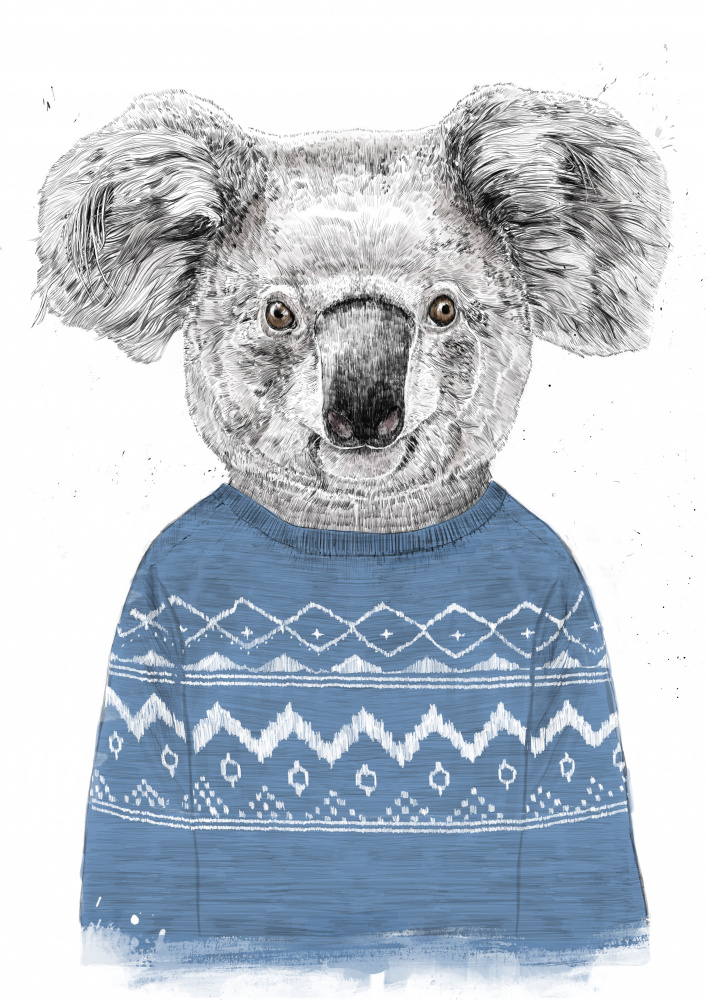 Winter koala (blue) van Balazs Solti