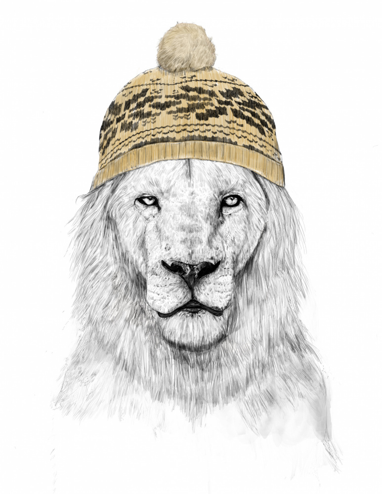 Winter Lion van Balazs Solti