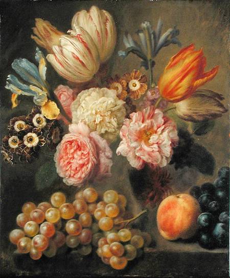 Flower Study van Balthasar Denner