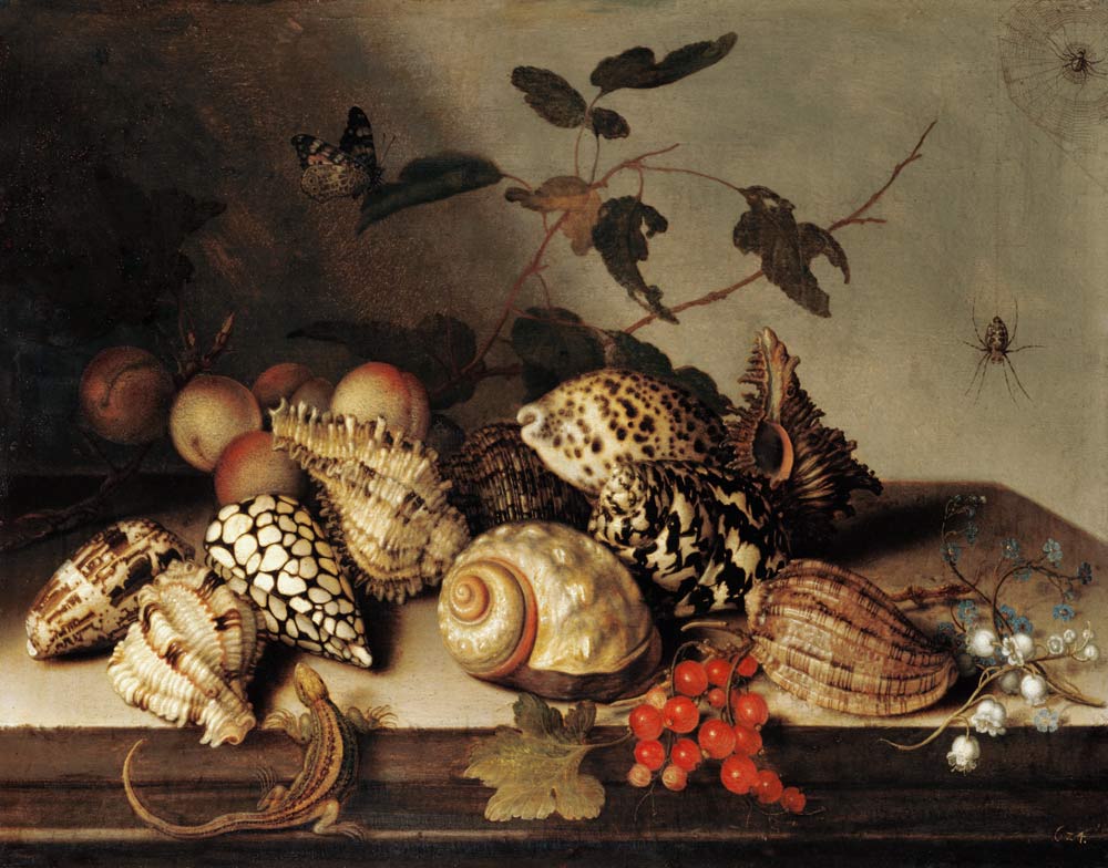 Muscheln und Früchte van Balthasar van der Ast