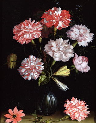 Floral Study: Carnations in a Vase (oil on panel) van Balthasar van der Ast