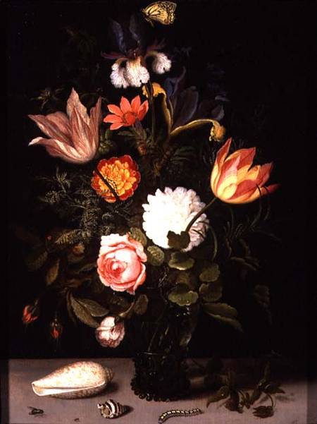 Still Life of Flowers in a Roemer with Two Shells van Balthasar van der Ast