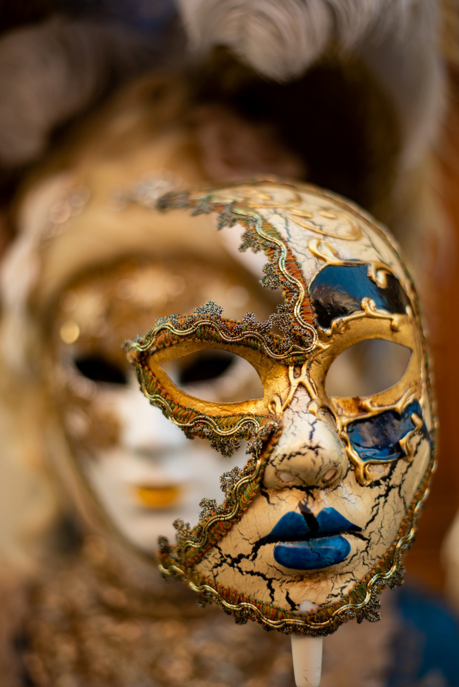 Behind the Eyes of Venice Mask van Barak Shacked