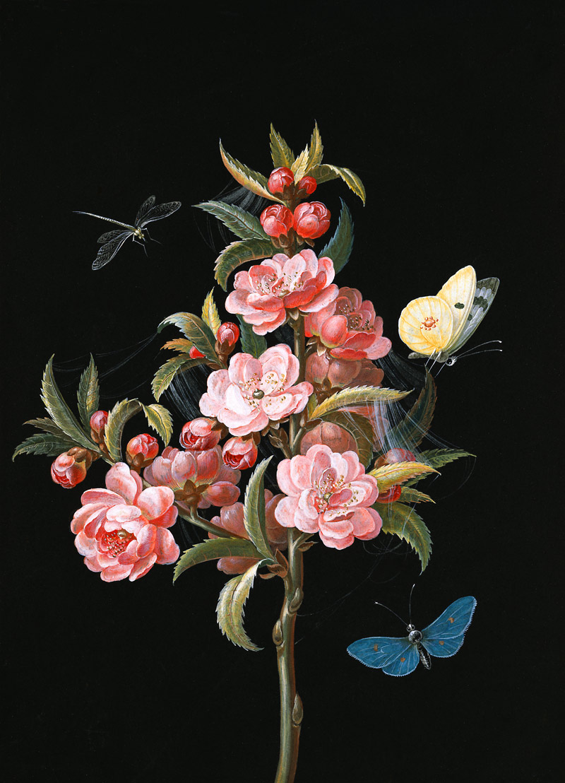 Japanische Quitte (oder Kirsche) mit Libelle und Schmetterlingen van Barbara Regina Dietzsch