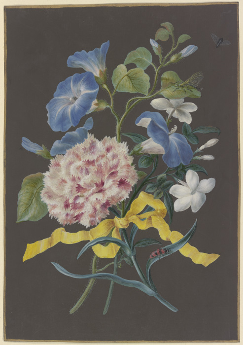 Blumengebinde mit rosa Nelke (Dianthus), blauer Winde (Convolvulus) und weißem Jasmin (Jasminum), mi van Barbara Regina Dietzsch