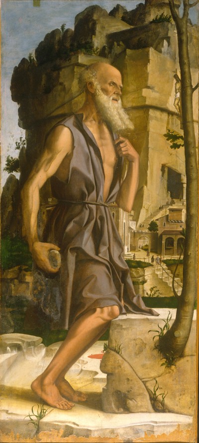Saint Jerome van Bartolomeo Montagna