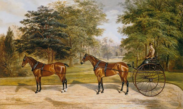 Two horses, harnessed in tandem, pulling a carriage van Benjamin Cam Norton