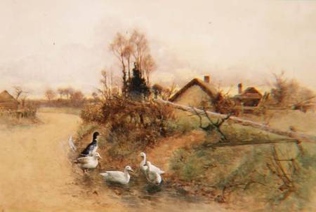 Dabbling Ducks van Benjamin D. Sigmund
