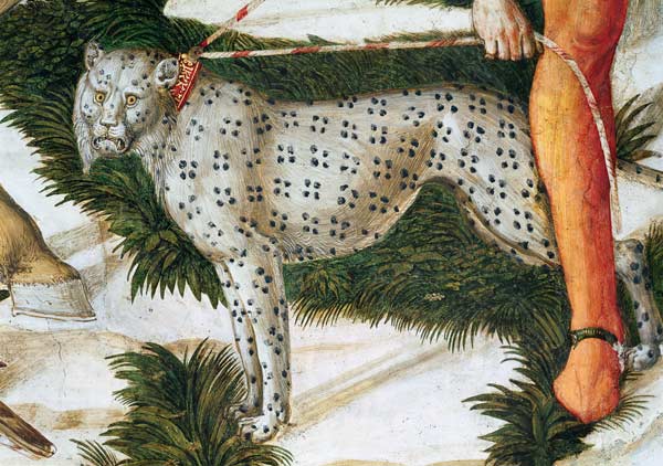 Leopard straining on a leash, detail from the Journey of the Magi cycle in the chapel van Benozzo Gozzoli