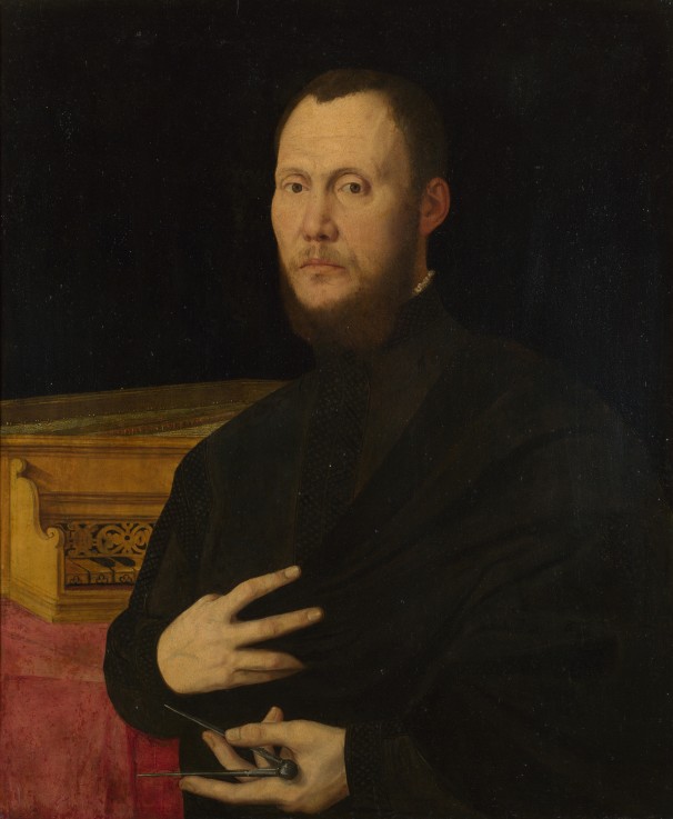 Portrait of a Musician van Bernardino Campi