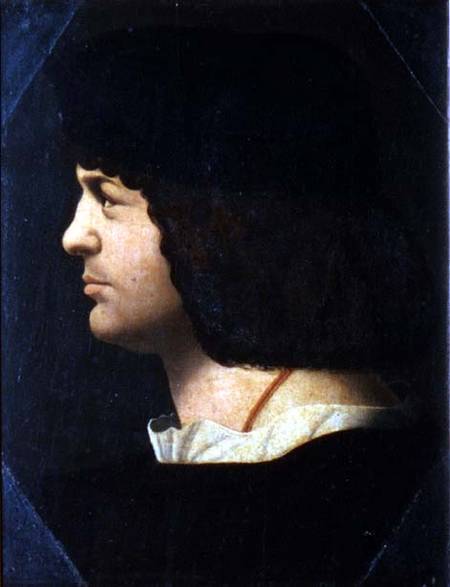 Portrait of a Man (panel) van Bernardino de' Conti