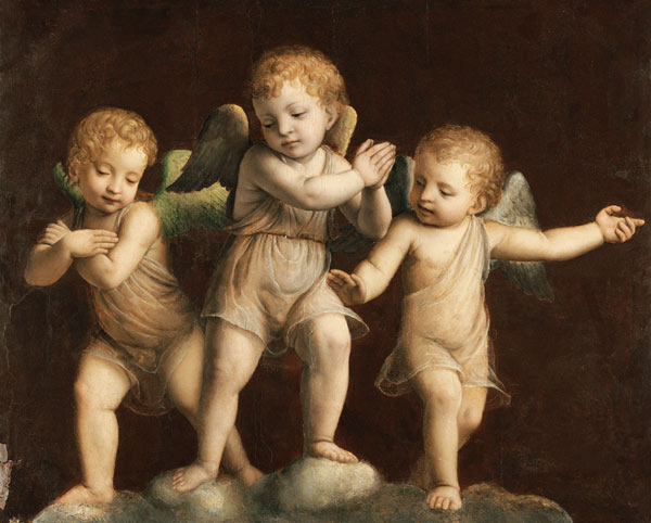 Drei Putten. van Bernardino Luini