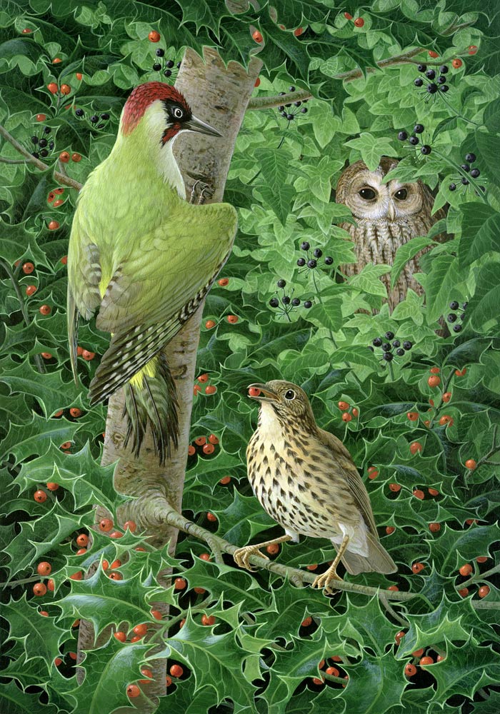 Woodpecker, Owl and Thrush van Birgitte  Hendil