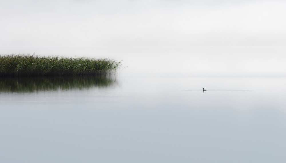 The lone fisher van Bjorn Emanuelson