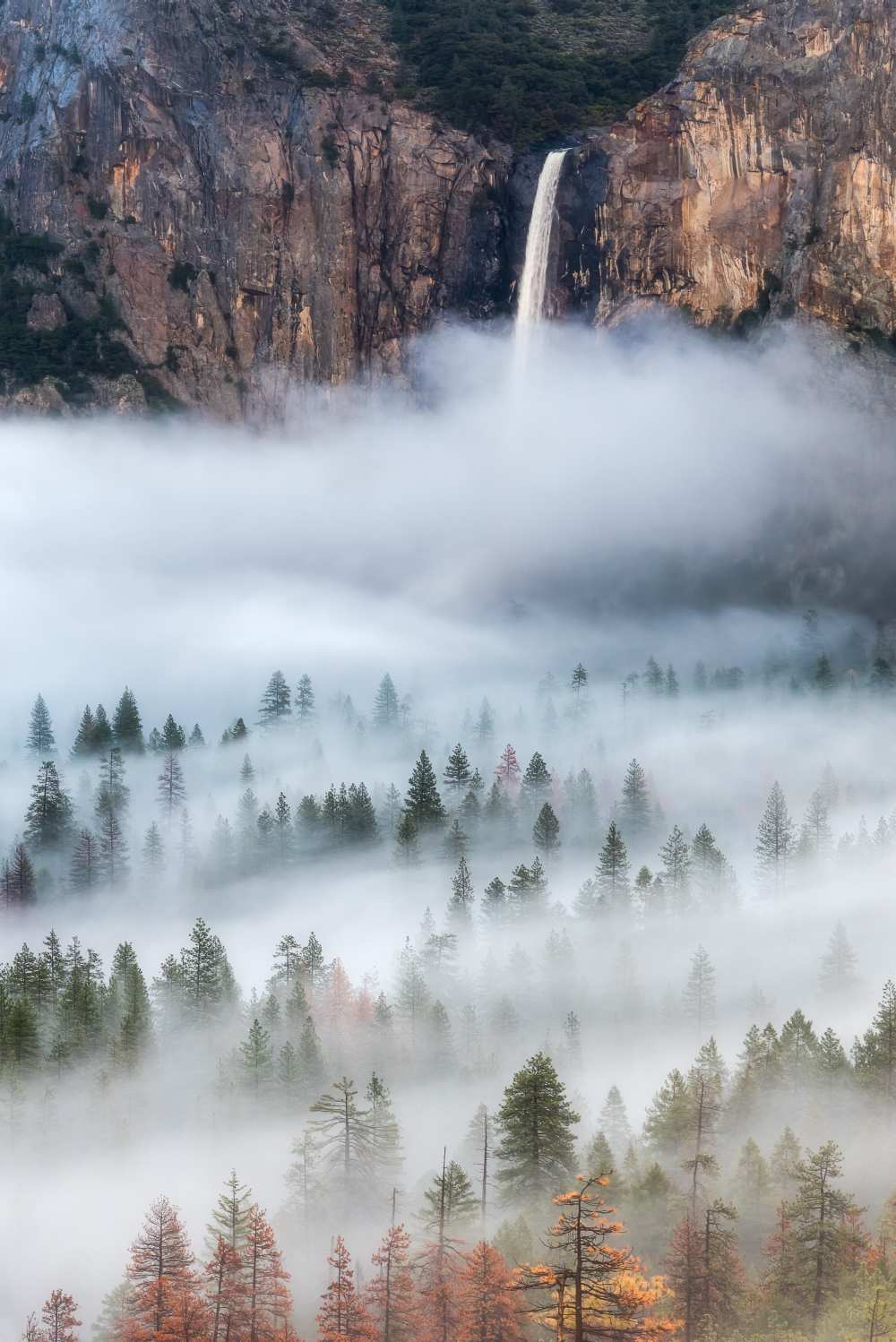 Mist Falls van Brandon Yoshizawa
