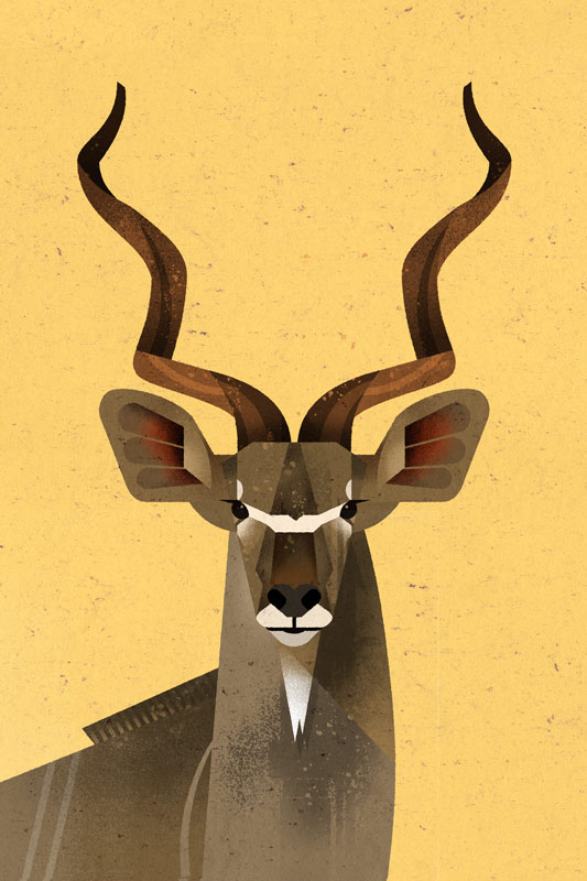 Big Kudu van Dieter Braun