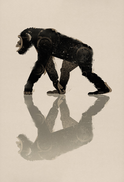 Chimp van Dieter Braun