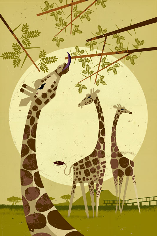 Giraffes van Dieter Braun