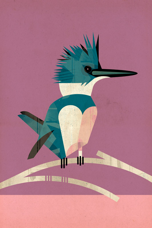 Kingfisher van Dieter Braun