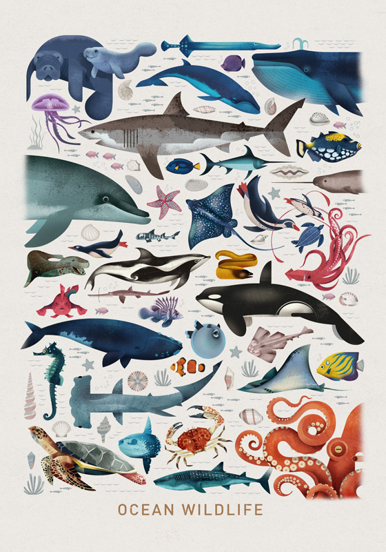 Ocean Wildlife van Dieter Braun