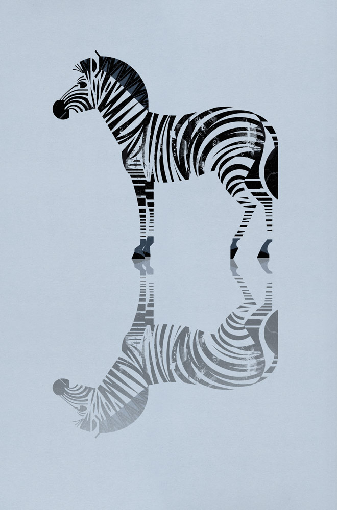 Zebra van Dieter Braun