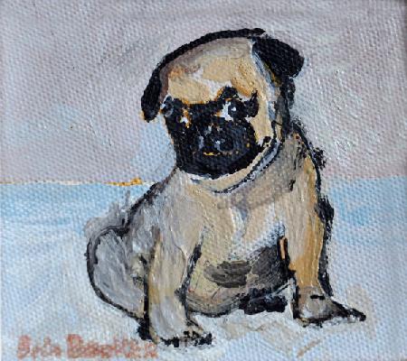 Vincent, the pug puppy