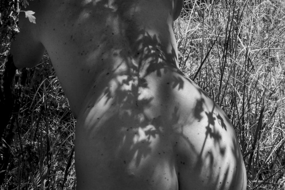 Female back-nude with shadow play van Amelie Breslauer