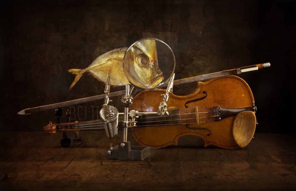 Fish and violin van Brig Barkow